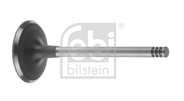 Intake Valve